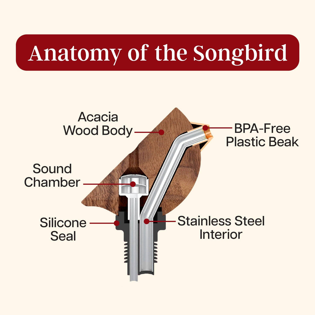 Songbird- "Singing" Wine Bottle Pourer Turquoise