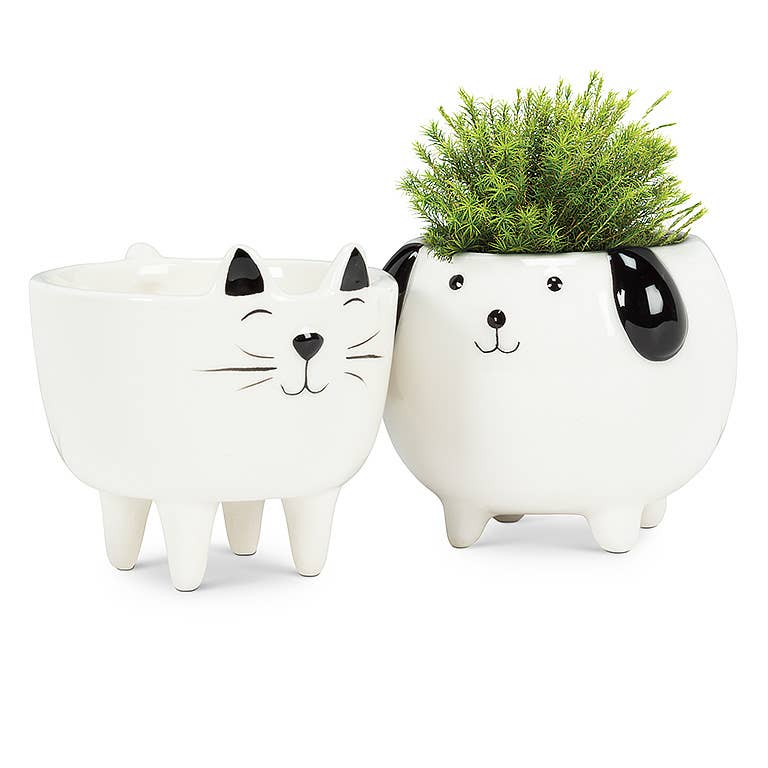 Dog on Legs Planter-3" H