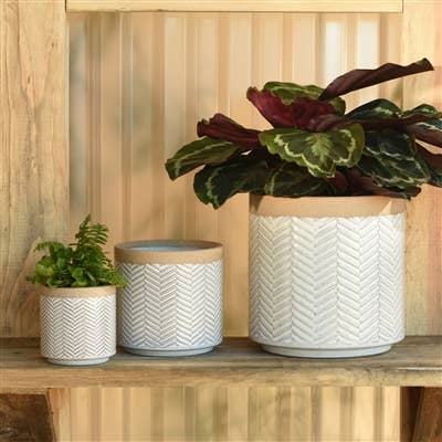 Ramos Banded Chevron Cachepot, Stoneware - 4