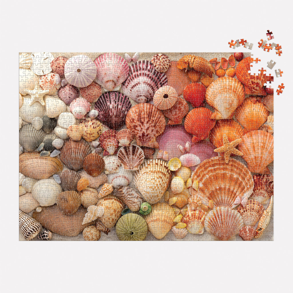 PUZZLE-Vibrant Seashells 1000 Piece Puzzle