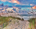 PUZZLE-High Tide 1000 Piece Puzzle