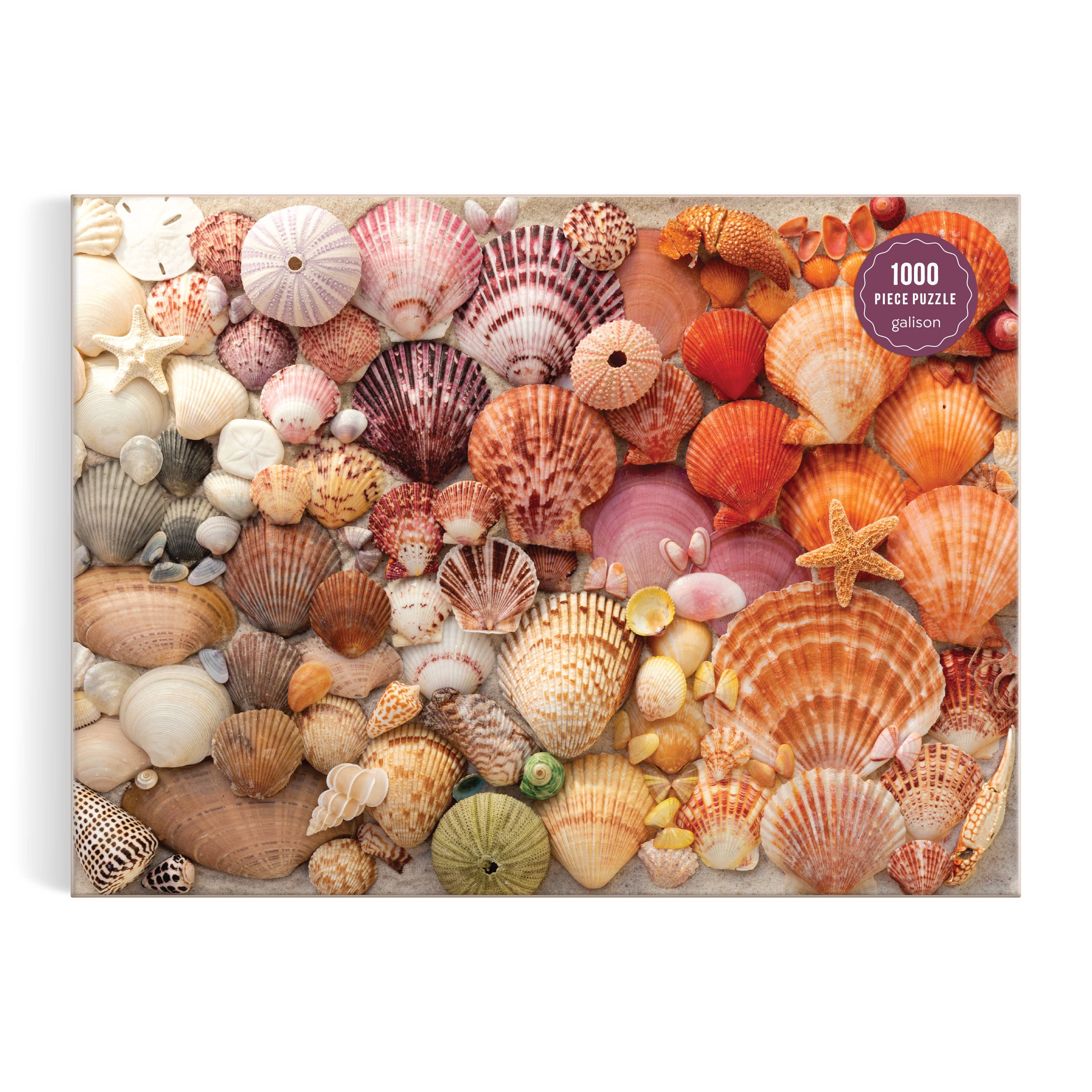 PUZZLE-Vibrant Seashells 1000 Piece Puzzle