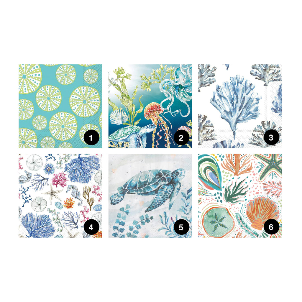 DIY Clam Shell Ocean Beach Mini Decoupage Kit